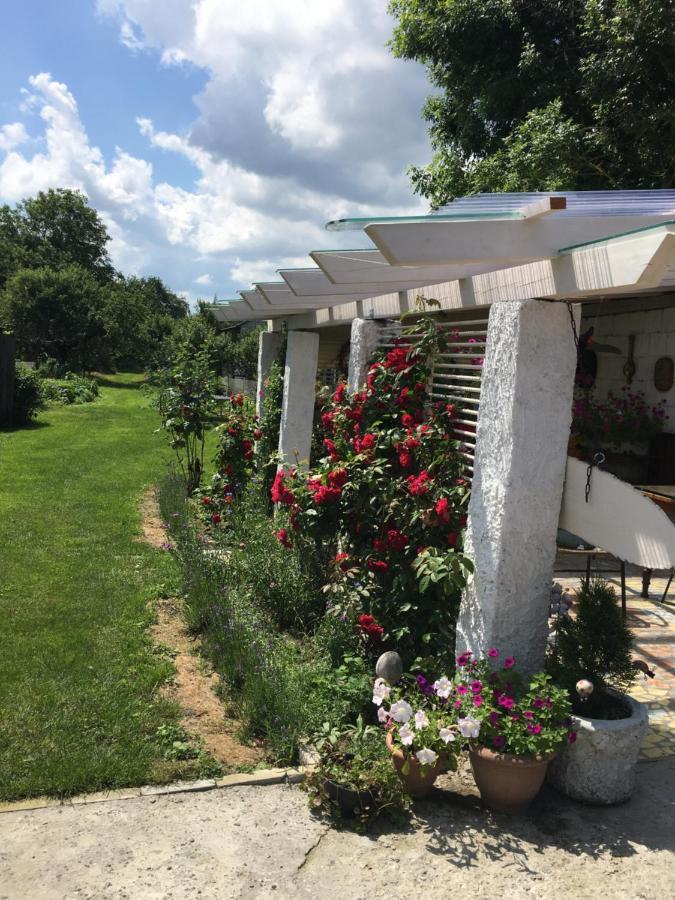 Agroturystyka "Pod Bluszczem" Krasnobród Kültér fotó