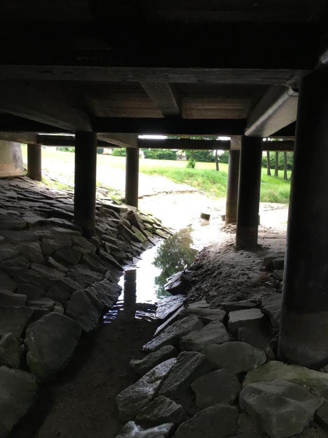 Agroturystyka "Pod Bluszczem" Krasnobród Kültér fotó