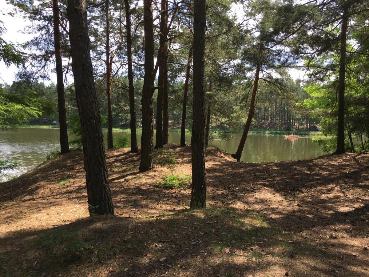 Agroturystyka "Pod Bluszczem" Krasnobród Kültér fotó