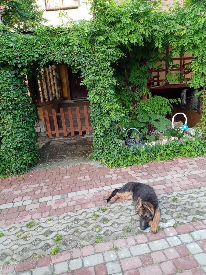 Agroturystyka "Pod Bluszczem" Krasnobród Kültér fotó