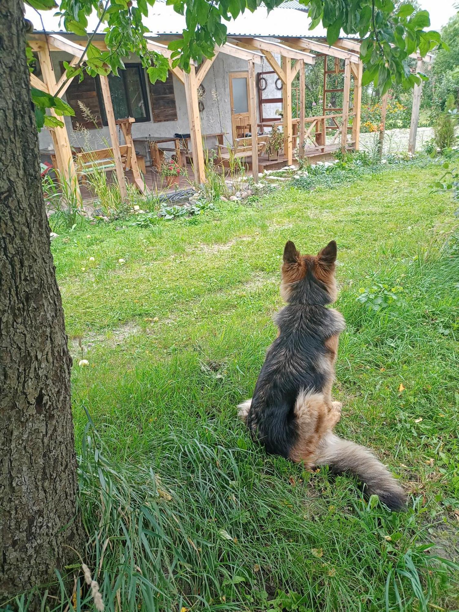 Agroturystyka "Pod Bluszczem" Krasnobród Kültér fotó