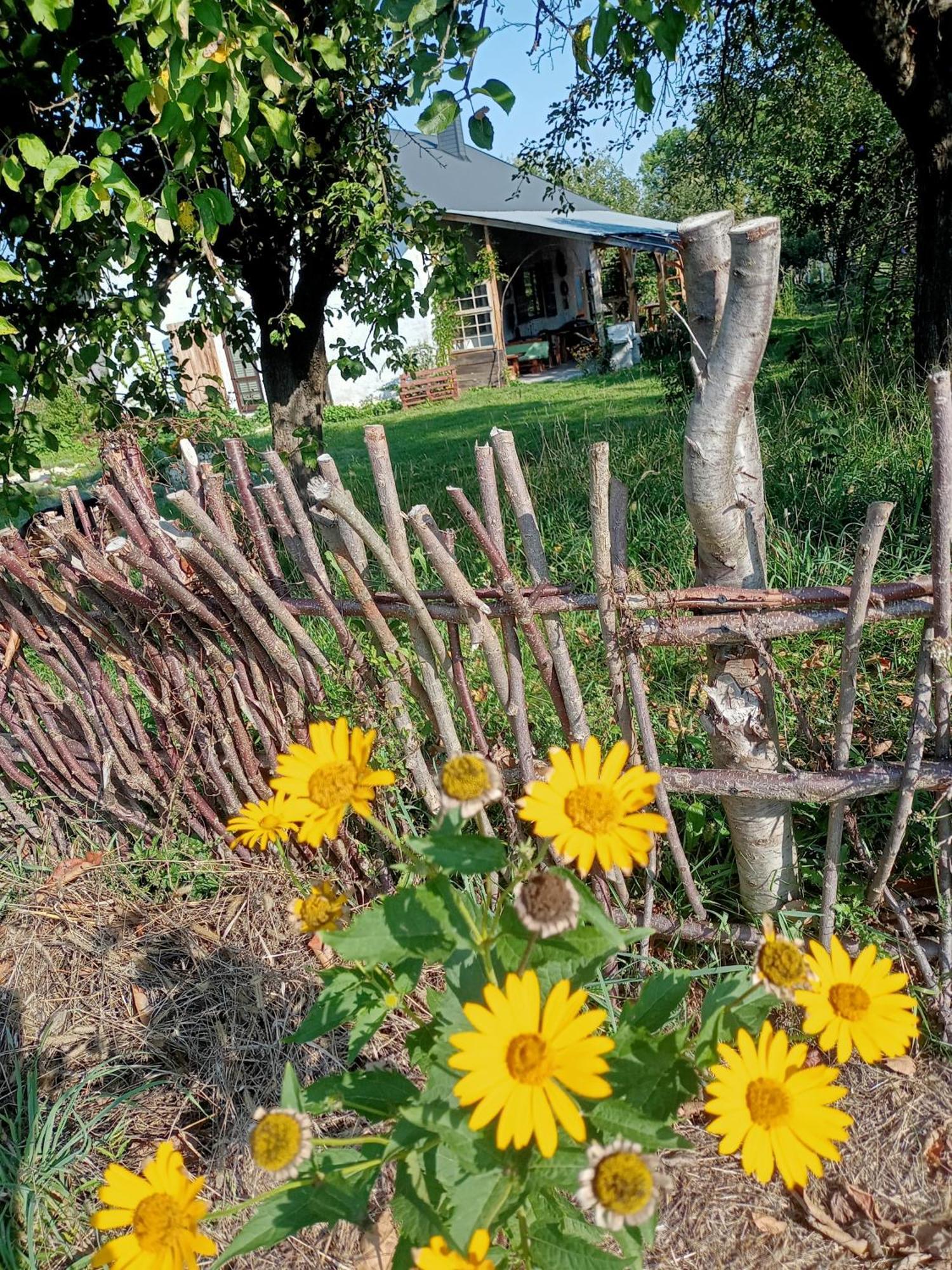 Agroturystyka "Pod Bluszczem" Krasnobród Kültér fotó